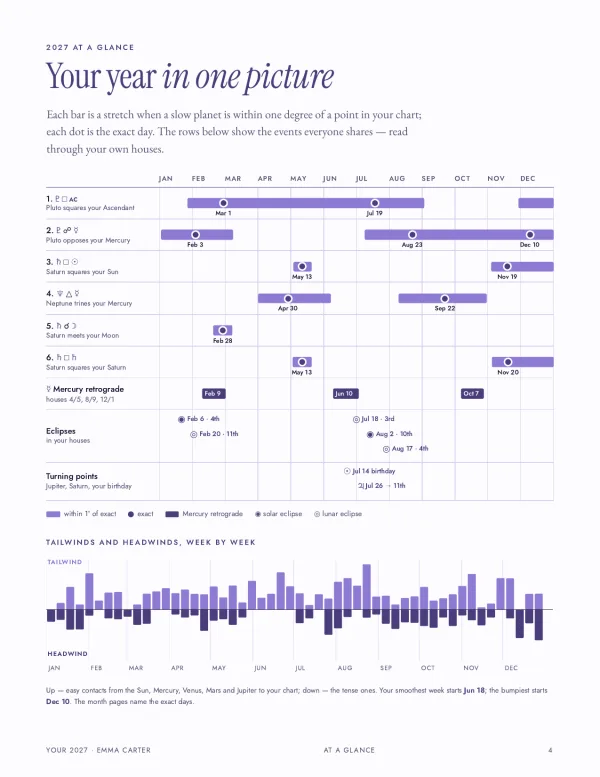 Your year in one picture: a page of the personalized 2027 horoscope